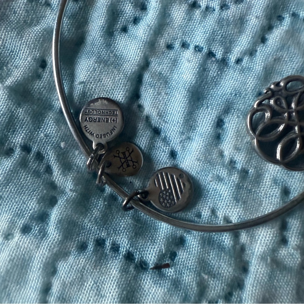 Alex and Ani Path of Life Charm Bracelet - Picture 8 of 10